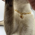 Stainless steel heart-shaped pendant necklace with animal zodiac design on curb chain
