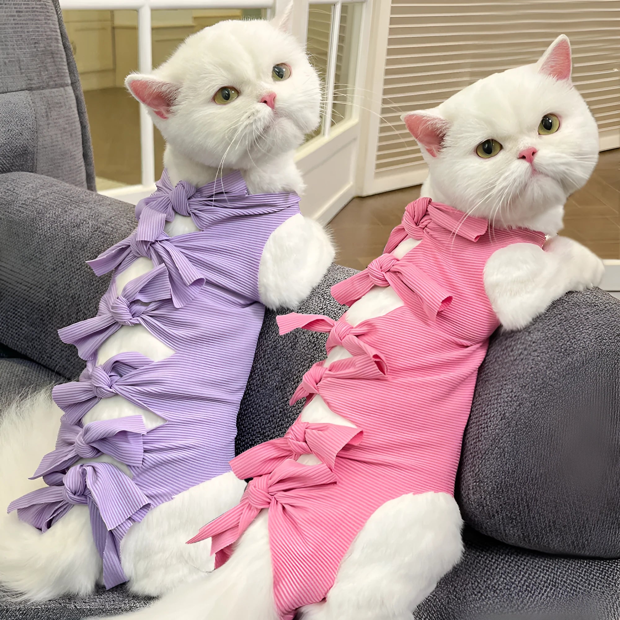 Lace-up polyester cat recovery suit in blue colour shown on a model, size L for cats 6-9kg.