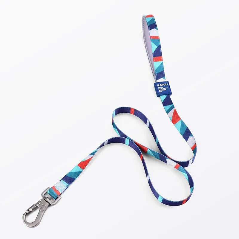 Blue adjustable dog harness and lead combo set shown on a model dog.