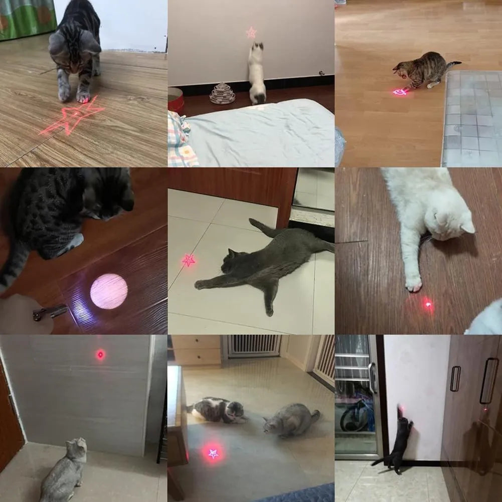 Small black or pink USB-rechargeable infrared cat teaser toy on a keychain, showing scale at 5cm.