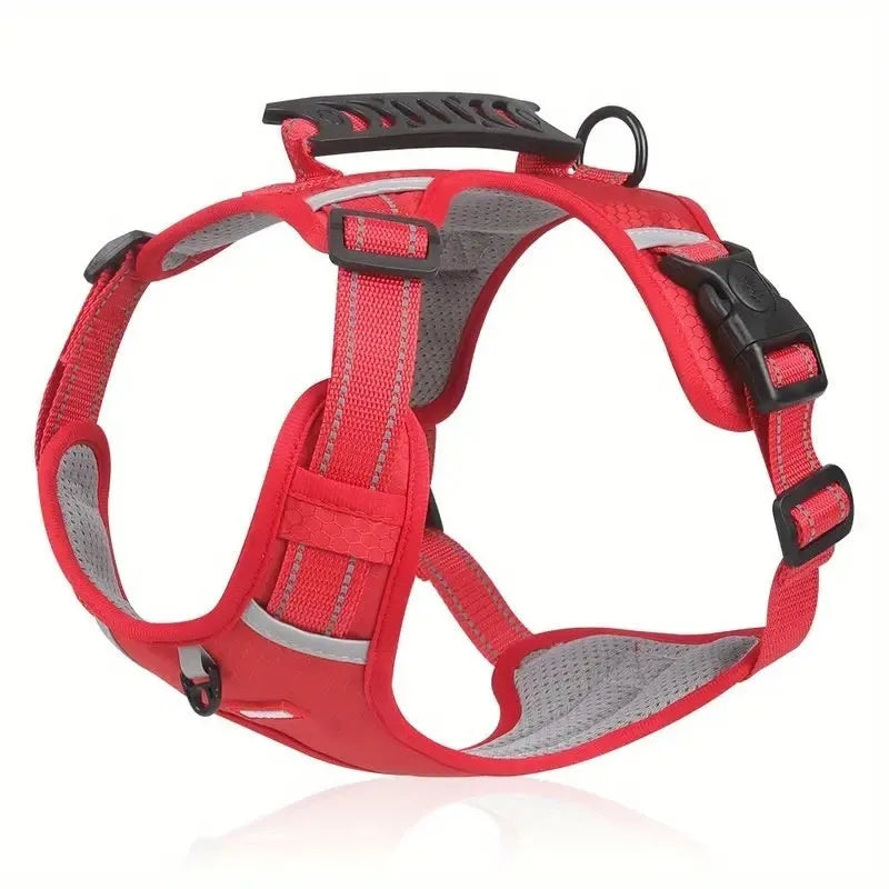 Adjustable polyester dog harness and lead in multiple colours on a size chart.