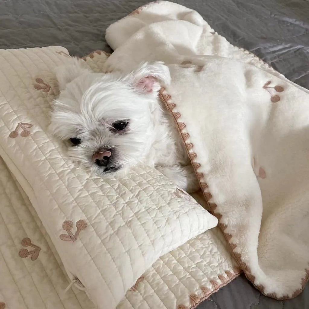 Simple Bear design dog bed set with pillow, mattress and comforter on grey background