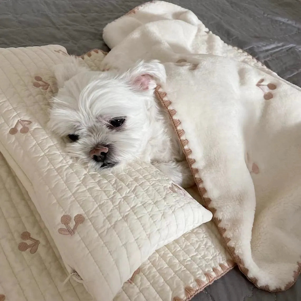 Simple Bear design dog bed set with pillow, mattress and comforter on grey background