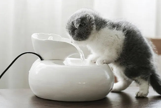White and pink porcelain leaf automatic cat water dispenser with EU or US plug option