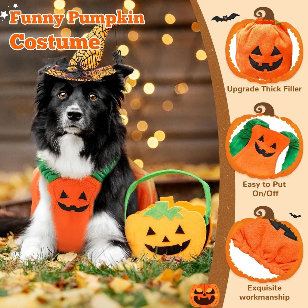 Orange pumpkin plush Halloween costume on small dog with pullover design and soft materials