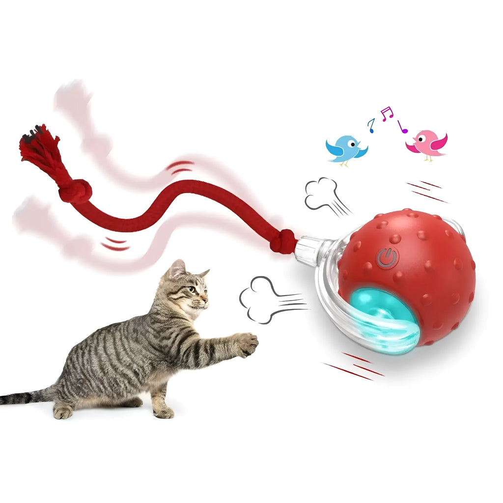 Interactive cat toy ball in red with three mode indicators and realistic bird sound