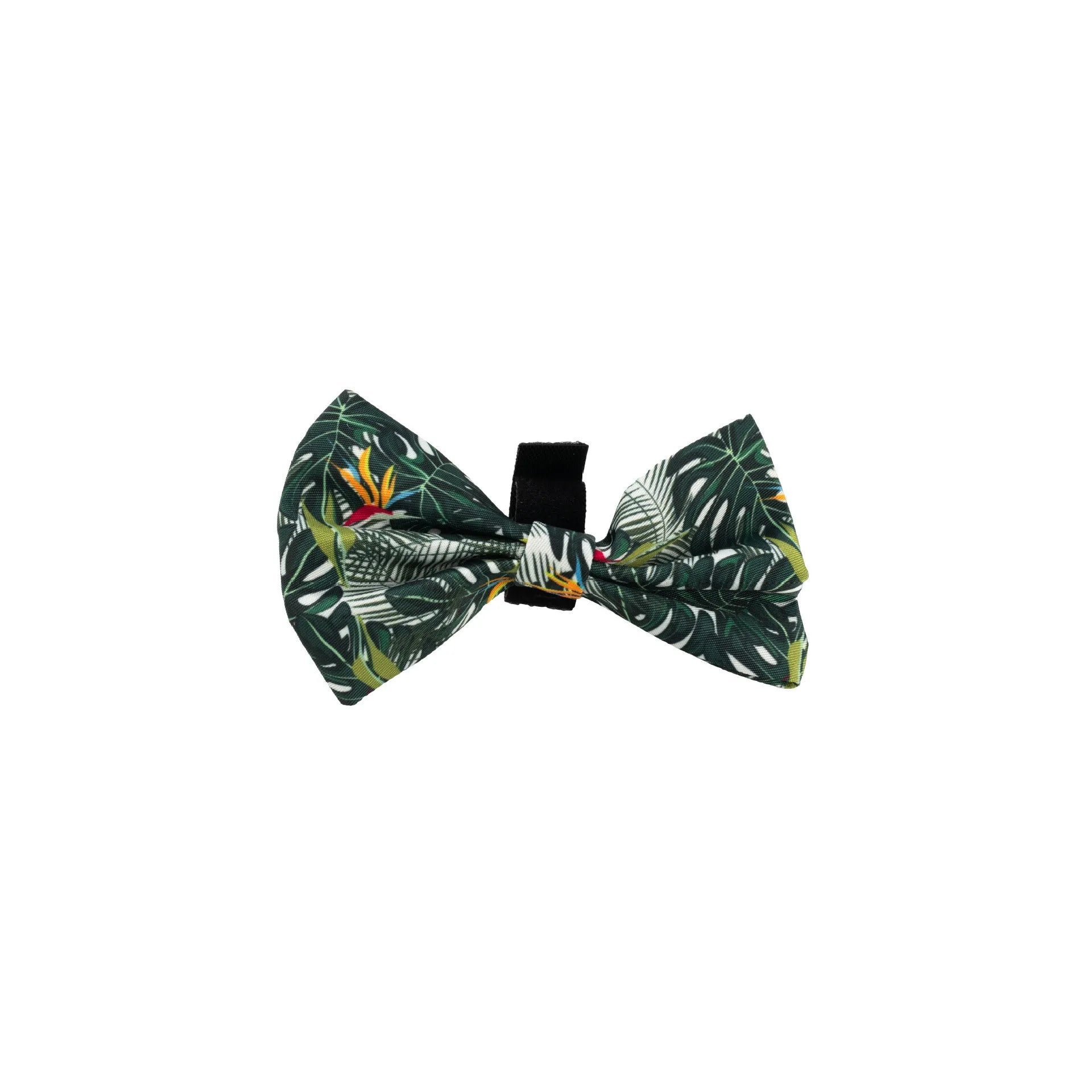 Six-piece adjustable cloth dog harness set with lead, collar, waste bag, bow, and scarf.
