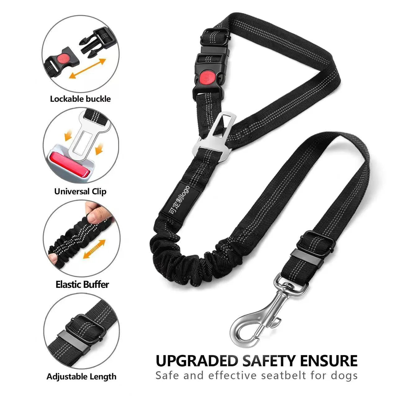 Nylon dog leash with metal buckle shown in multiple colour options.