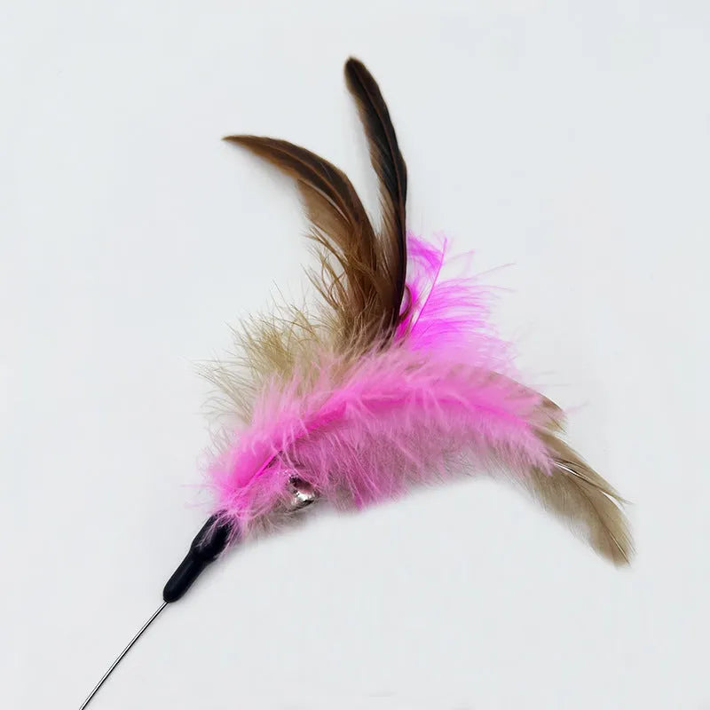Adjustable cat toy collar with feather bell attachment in pink or blue colour for cats with 17-27cm neck circumference