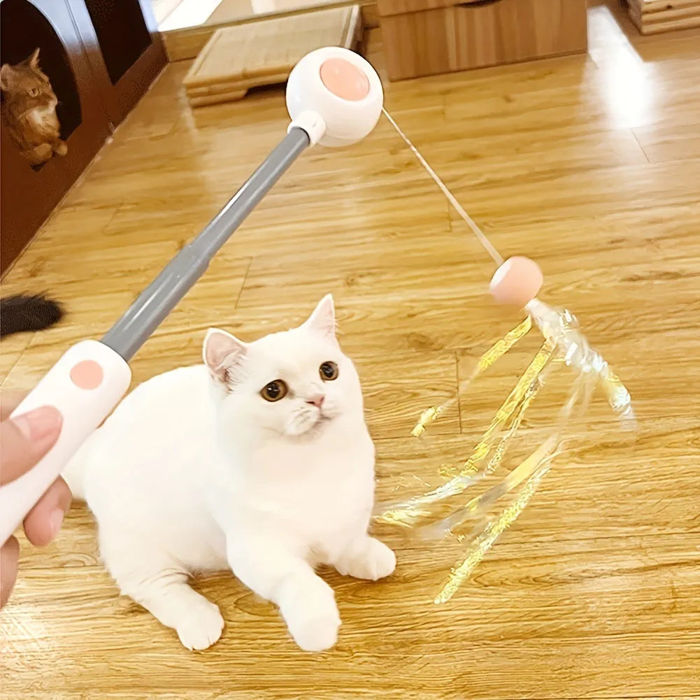Retractable cat teaser stick with replacement feather head, 85g, available in blue or pink