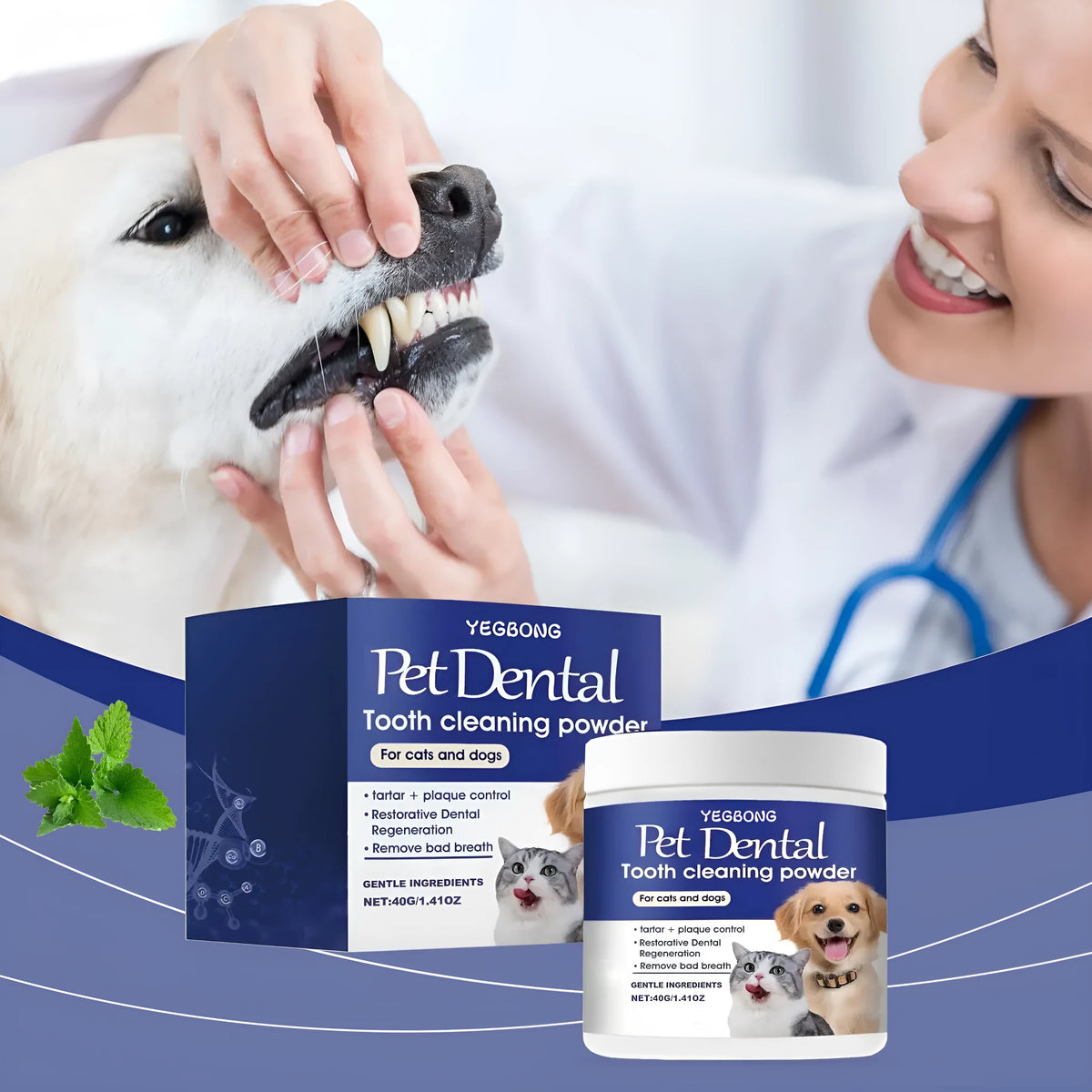 40g pet teeth cleaning powder in compact tub with green tea and peppermint extracts
