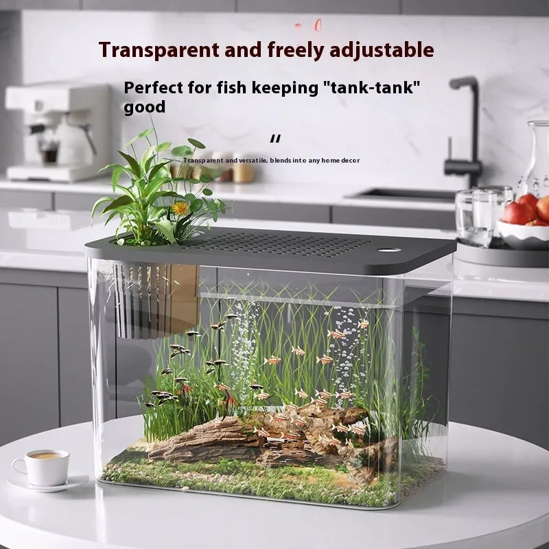 Plastic betta fish tank with cover measuring 32x18.5x23cm in black or white colour options