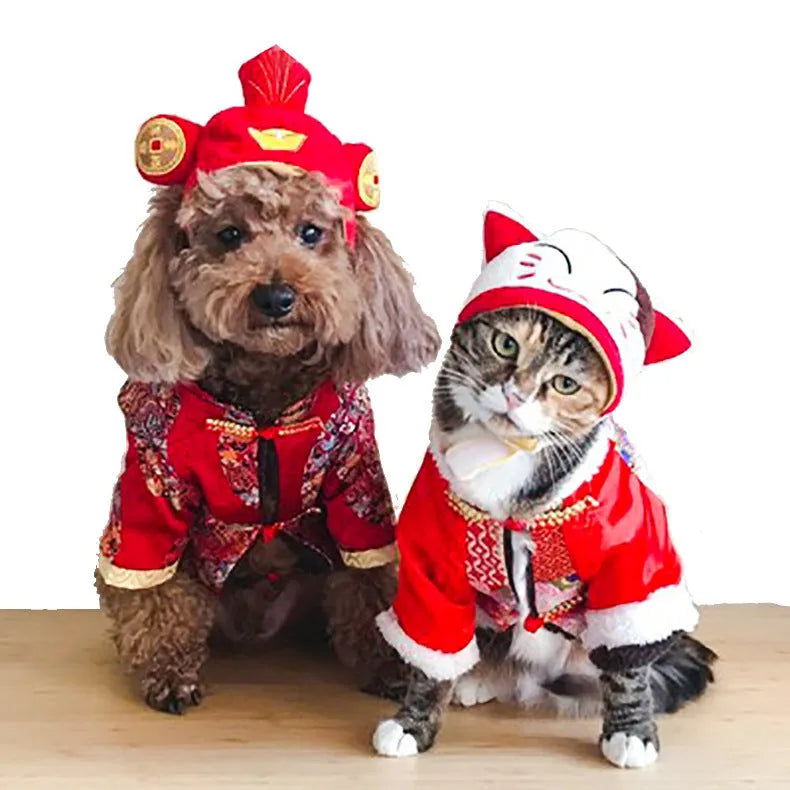 Pet headgear costume accessory with cartoon designs for cats and dogs
