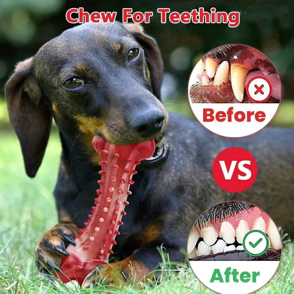 Red natural rubber chew toy for aggressive dogs and heavy chewers