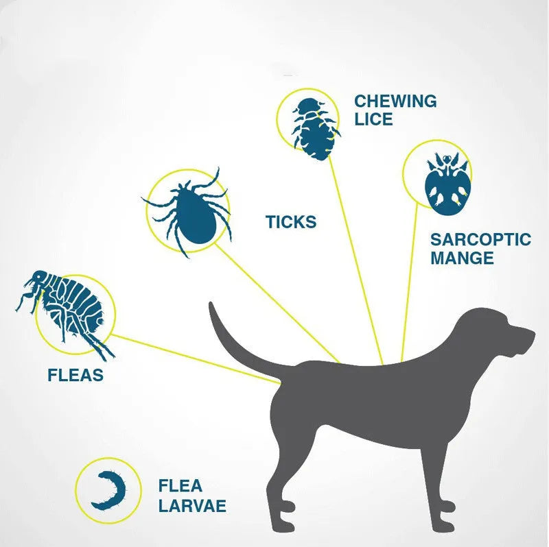 Adjustable grey flea and tick collar for dogs on a white background, 62cm size