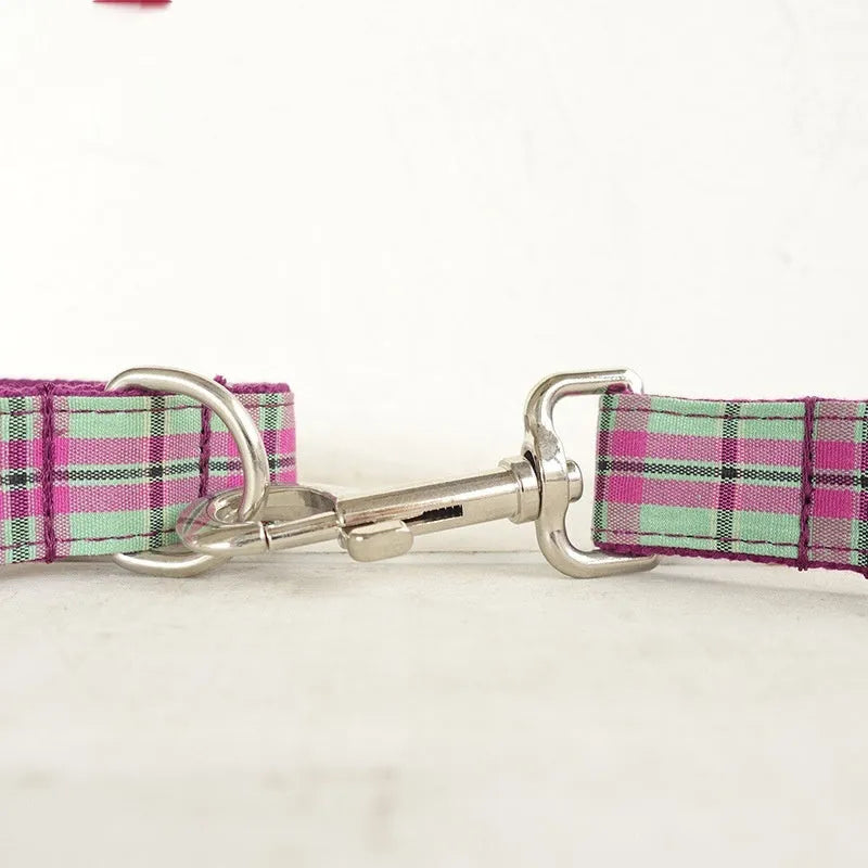 Mint zigezi polyester dog collar and leash set showing tear-resistant construction and adjustable design