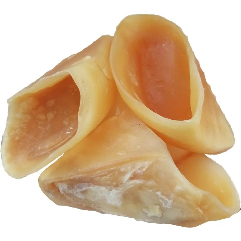 Natural cowhide hoof shell chew for dogs on a white background, showing small and large size options.
