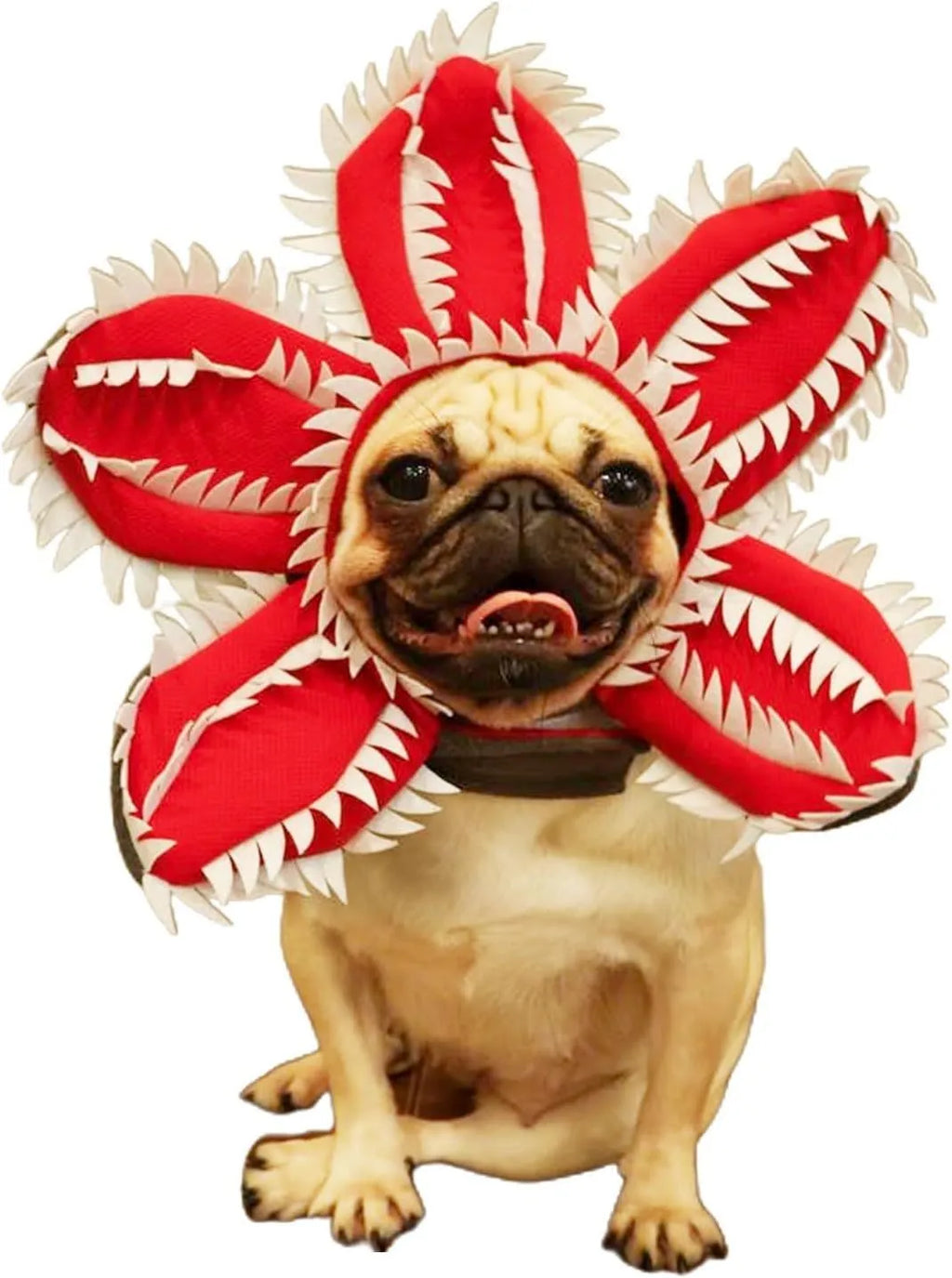 Chomper dog Halloween costume with scary demon teeth and purple flower headband on a medium-sized dog