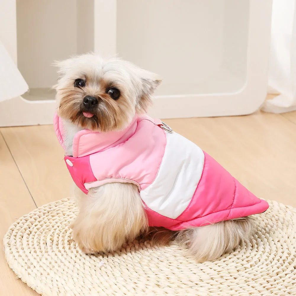 Dog autumn winter coat with attached leash in white and blue, polyester, sizes XS to XL