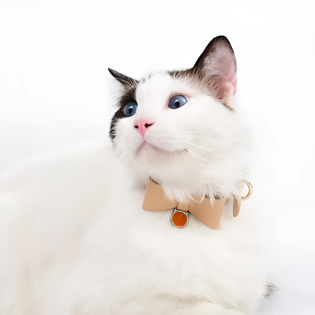 Brown leather cat collar with a metal bell on an adjustable strap.