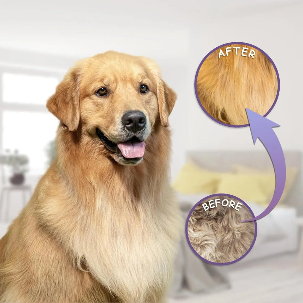 Purple pet detangling comb with stainless steel teeth for cat and dog grooming