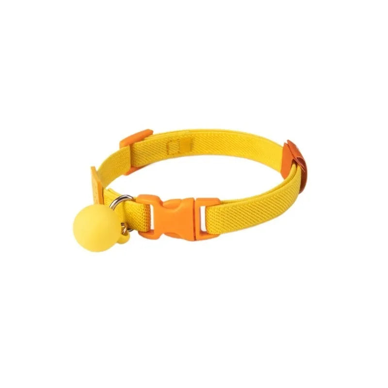 Small dog wearing a high elasticity polyester pet collar in a choice of seven solid colours.