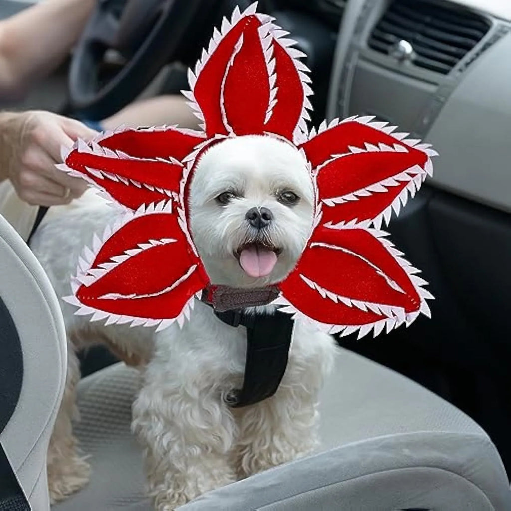 Chomper dog Halloween costume with scary demon teeth and purple flower headband on a medium-sized dog
