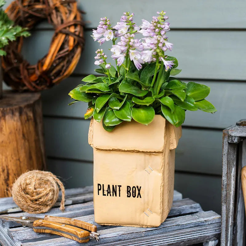 Cement brown paper box flowerpot with drainage holes for indoor planting