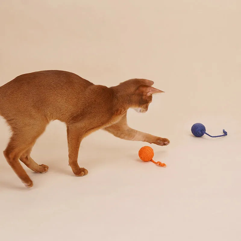 Blue, green, red, and yellow cat toy set with a teaser stick and a catnip ball.