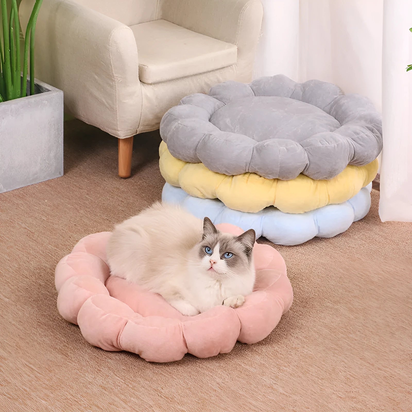 Square blue pet bed cushion with a half-surrounded side and short plush fabric