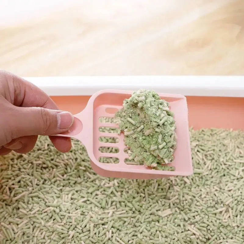 Plastic cat litter scoop in blue, green or pink colours showing 20cm length and litter sifting design
