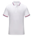 Striped short sleeve polo shirt with lapel collar, regular fit, available in multiple colours and sizes S to 4XL.
