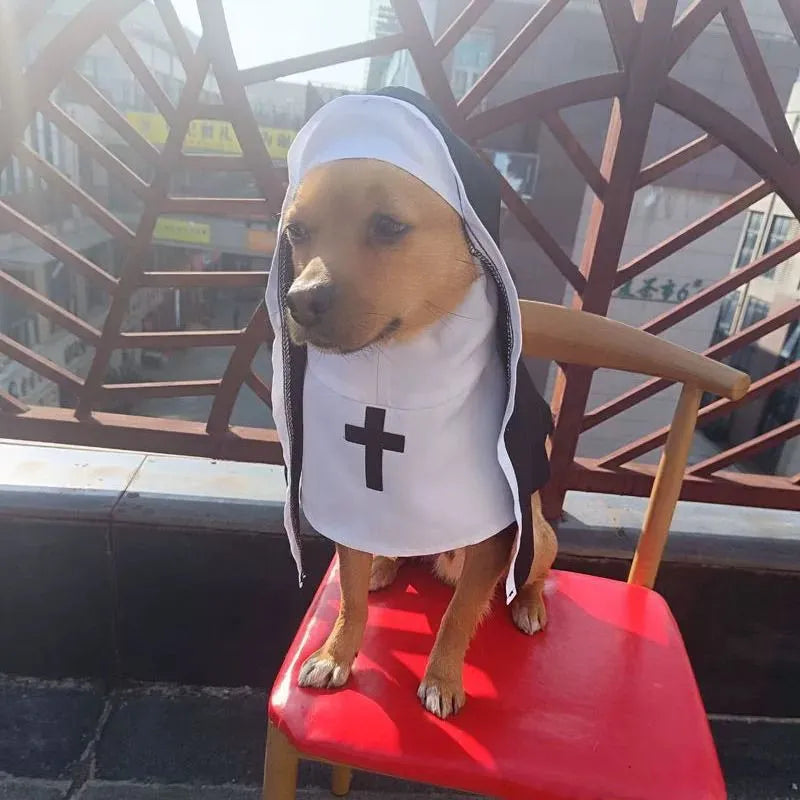 Black and white dog nun costume with cloak for Halloween pet parties