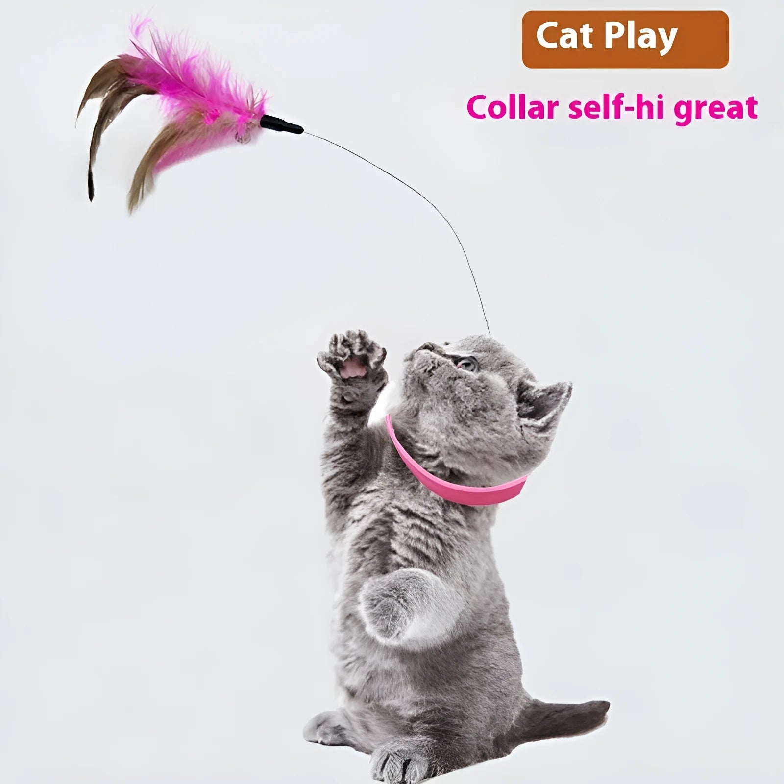 Adjustable cat toy collar with feather bell attachment in pink or blue colour for cats with 17-27cm neck circumference