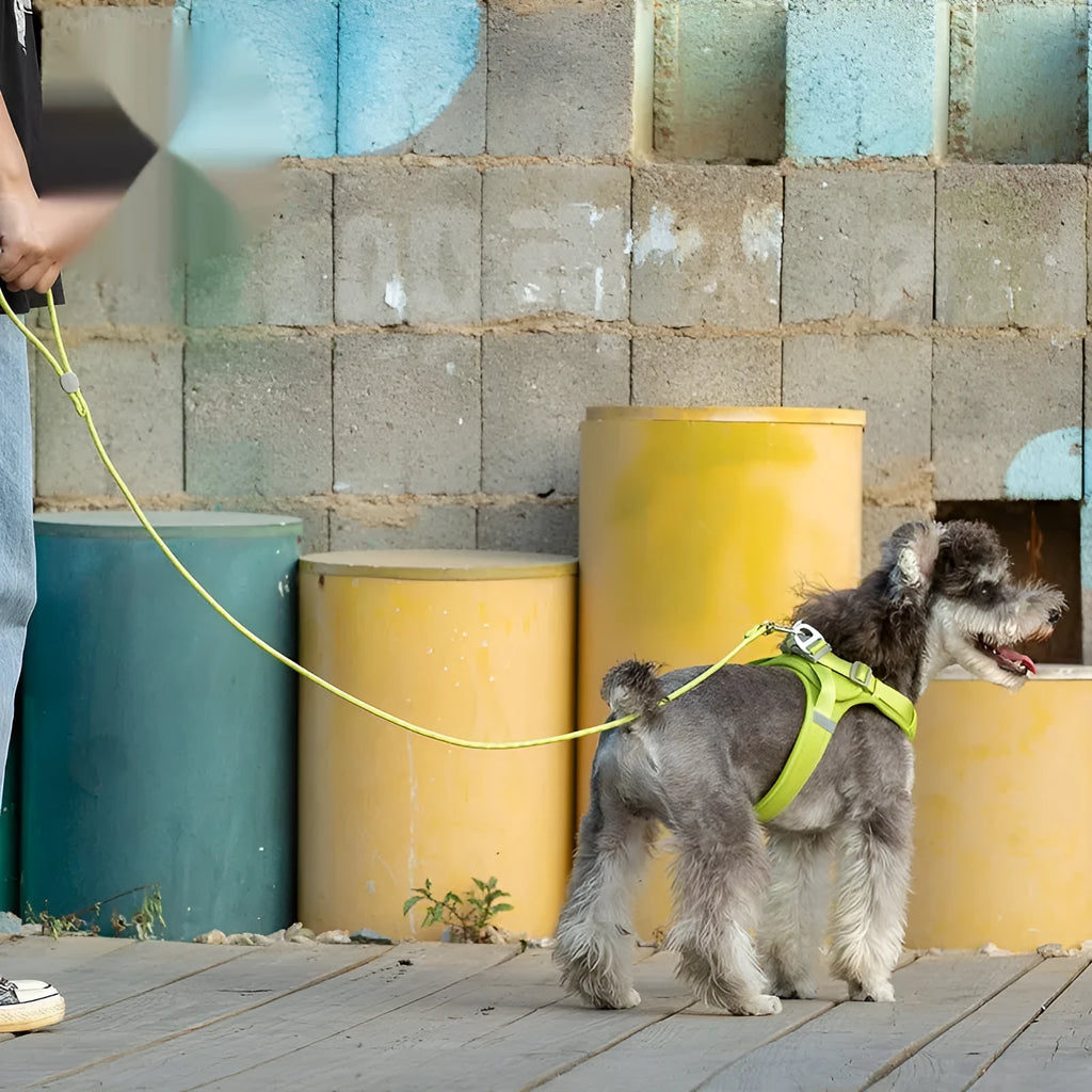 Adjustable sliding pet leash in nylon with zinc alloy hooks and plastic buckle in multiple colours and two sizes S and M.