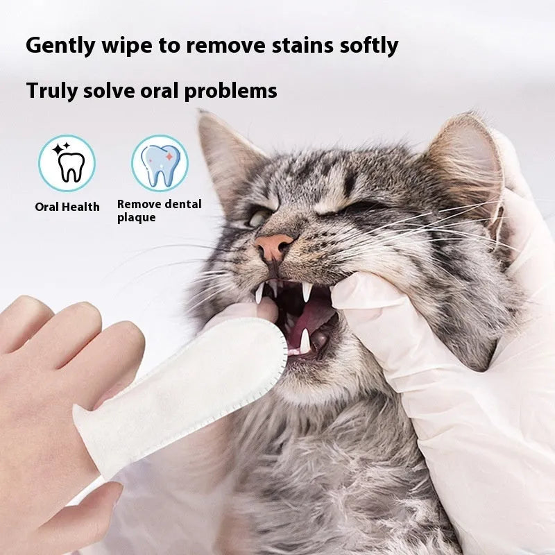 Pack of 50 white non-woven fabric pet dental cleaning finger stalls.