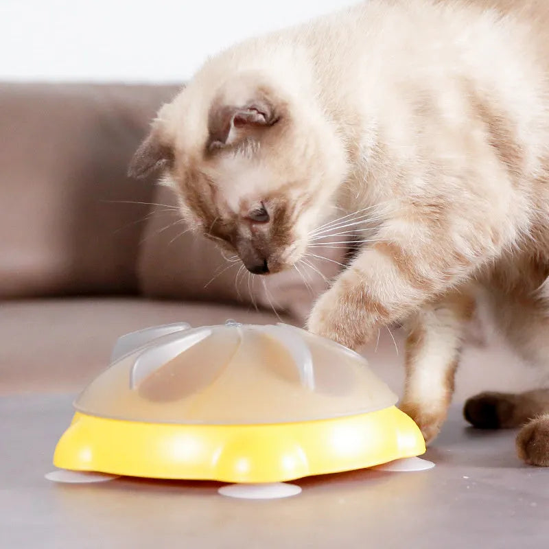 Yellow durable plastic cat snack bowl with divided compartments for foraging and slow feeding.