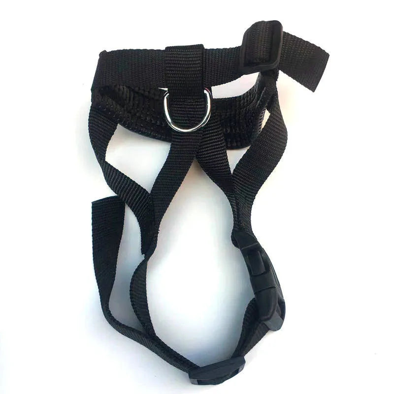 Nylon dog mouth cover with leather trim in black, showing adjustable buckle and breathable holes