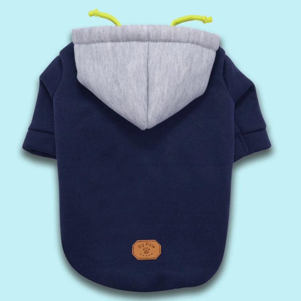 Dark red dog hooded pullover with contrast colour detailing shown on a medium-sized dog
