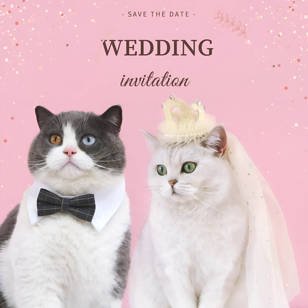 Princess crown headdress for cats on a beige or pink cotton polyester veil