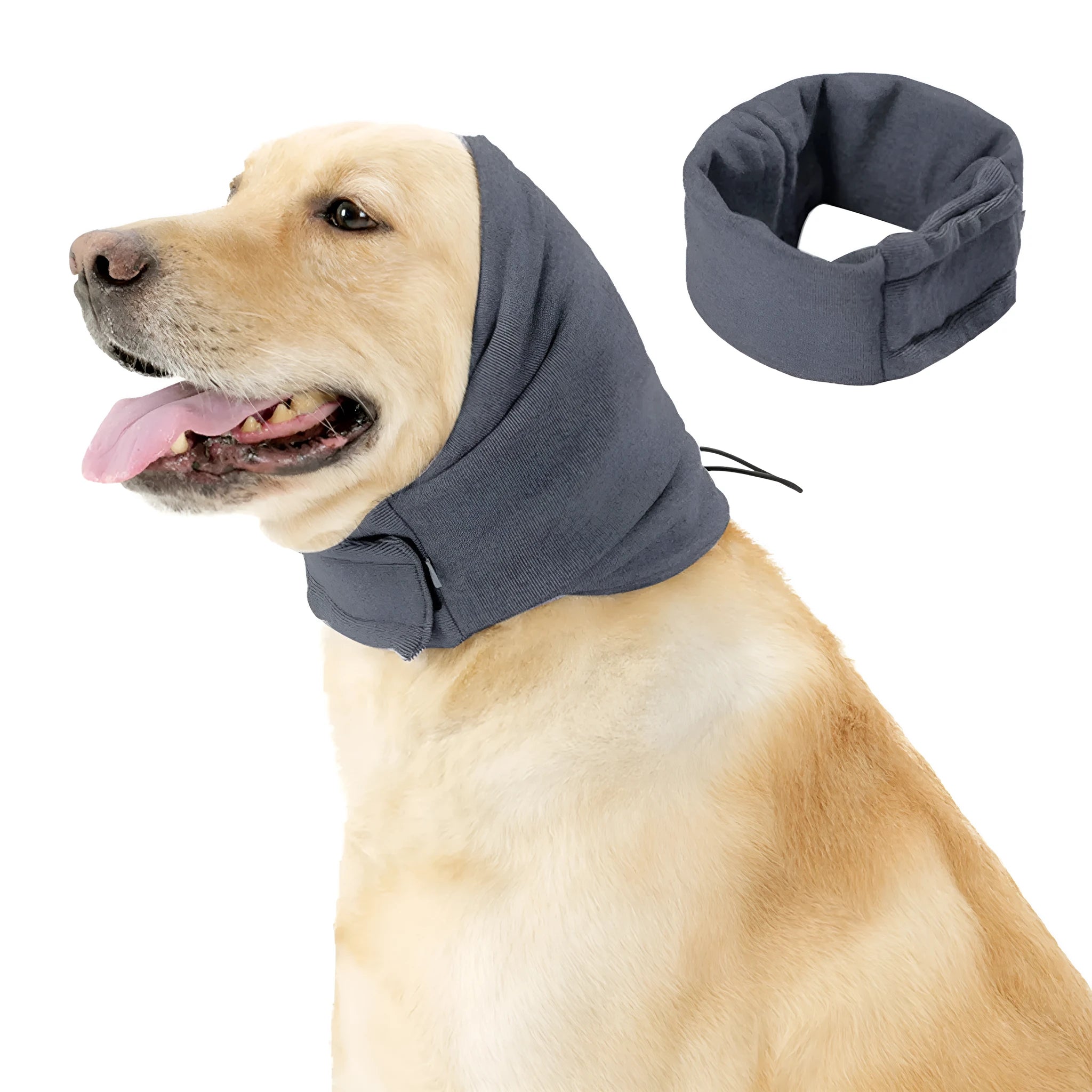 Dog wearing purple noise reduction hoodie with ear wraps and head cover