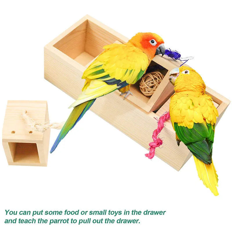 Wooden parrot foraging puzzle toy set for pet bird enrichment and beak exercise.