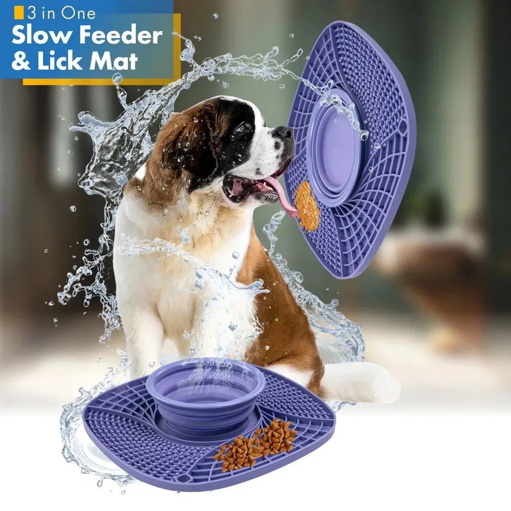 Pet dog slow feeder bowl with raised ridges and non-slip base in blue for small medium dogs