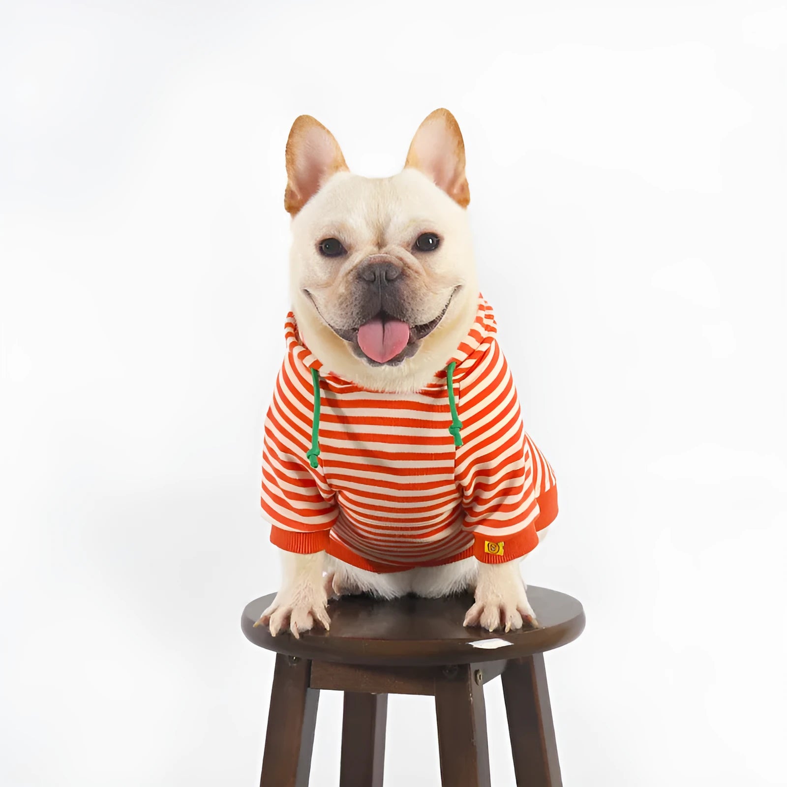 Orange cotton hooded sweater for a dog, showing Japanese Korean style on a mannequin.