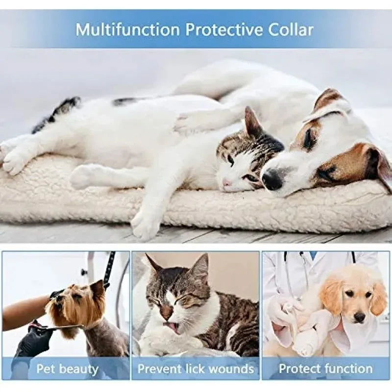Blue inflatable dog recovery collar fastened around a dog's neck showing soft cone alternative