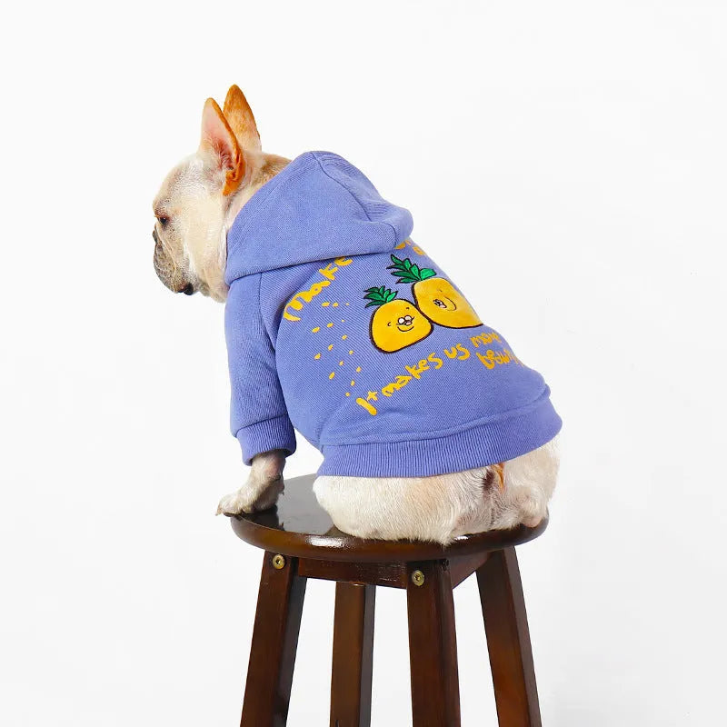Blue and purple cotton pet hoodie with cartoon print design for winter wear