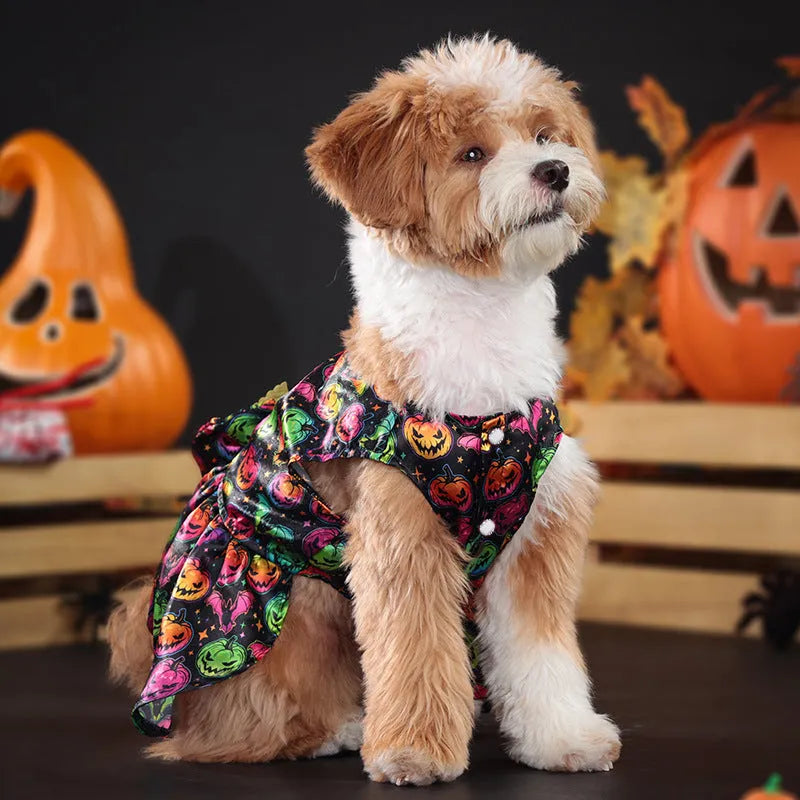 Dog wearing orange angel wings Halloween costume with bright pumpkin design.