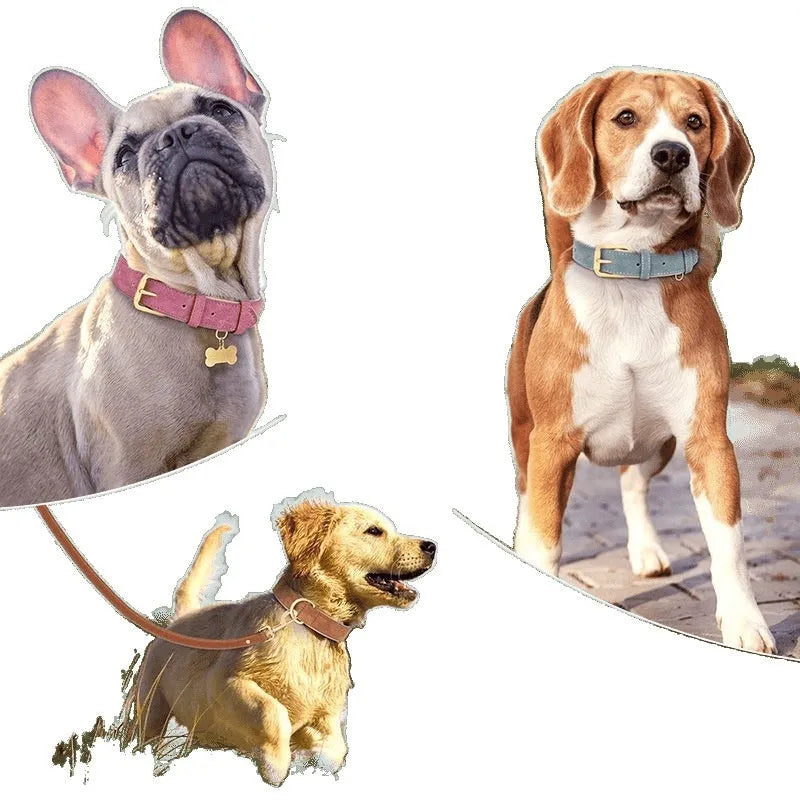Double-layer leather dog collar and matching traction rope in rose red, brown, or blue.