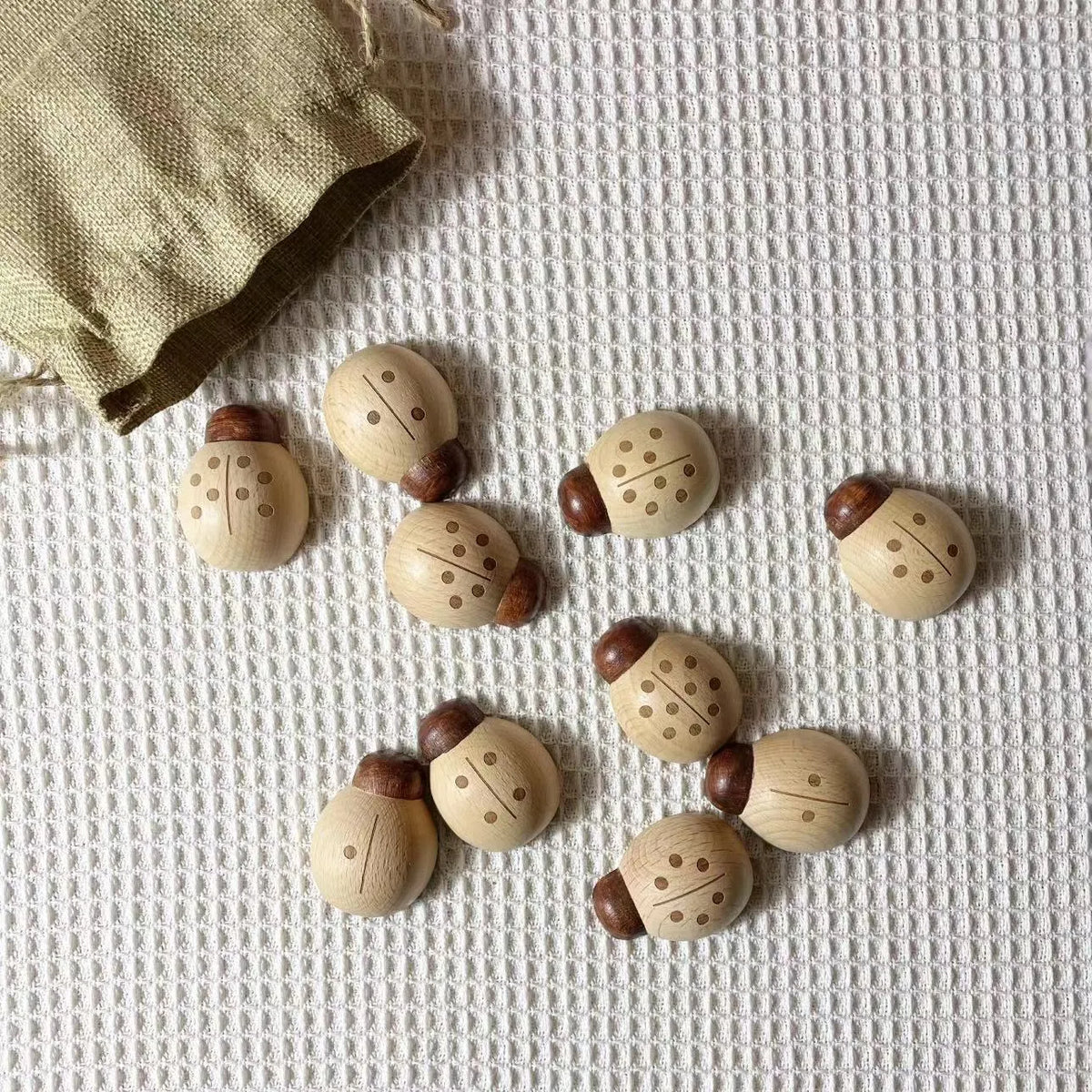 Beech ladybird educational toy with digital teaching aid on a table, packed in a net pocket