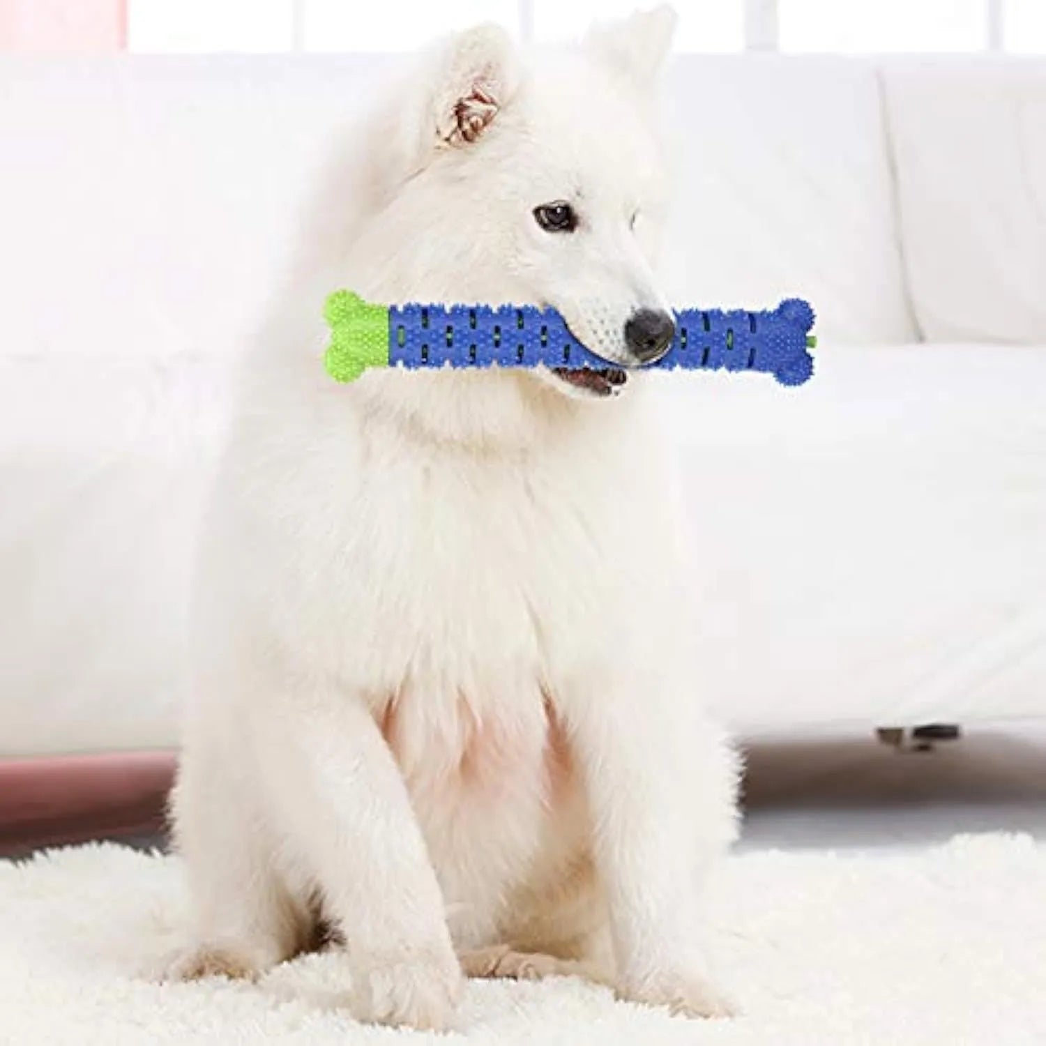 Blue green silicone dog toothbrush chew toy with brush head design measuring 25cm length